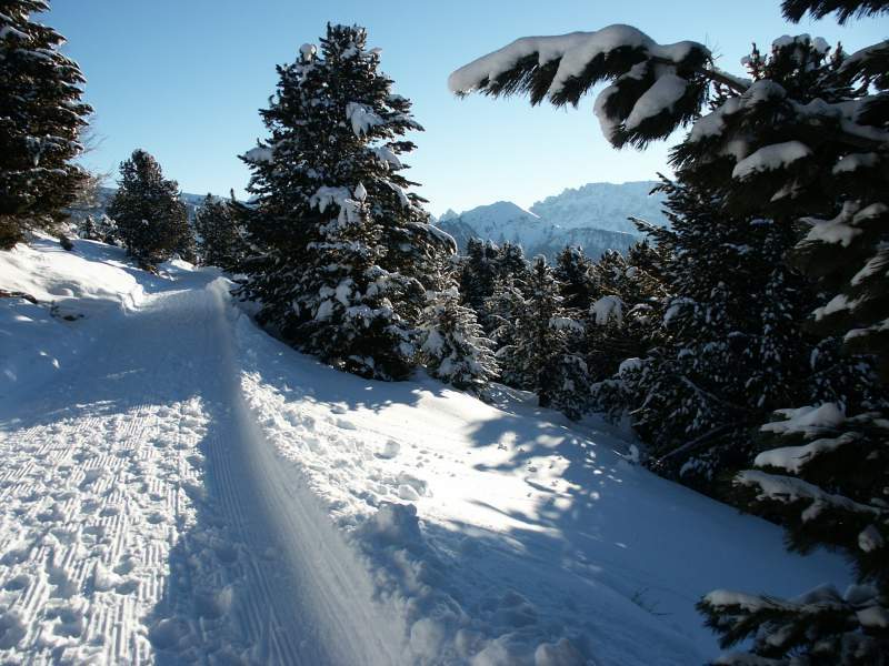 dolomiti-13
