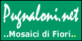 Pugnaloni