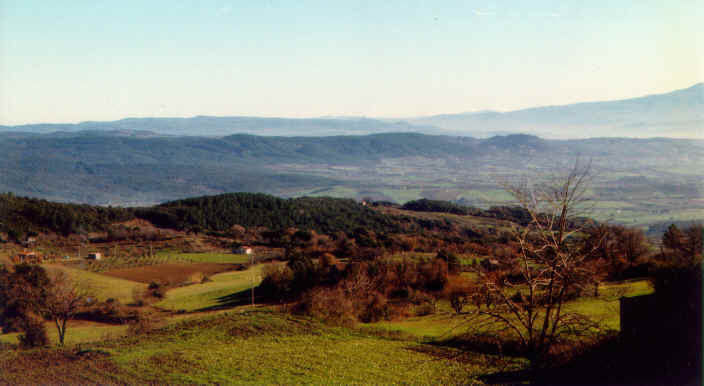 [ Panorama ]