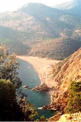 bussaggia