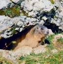 dolomiti-19