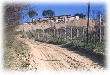 ilpoggio-02