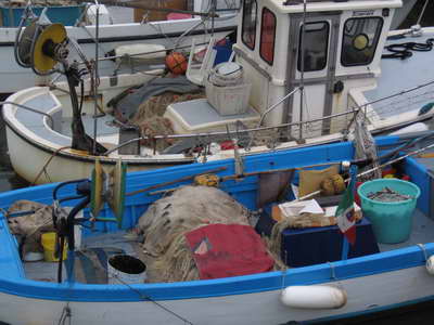 maremma-02