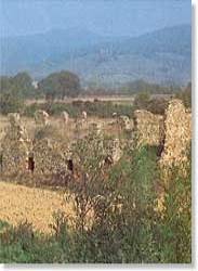 Ruderi Bagnaccio