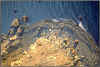 Spiaggia delle Tombe