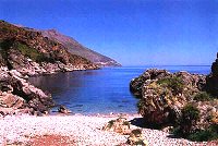 caladisa_200.jpg (11010 byte)