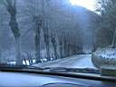 Neve.JPG