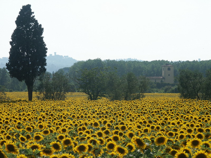 tuscany-18