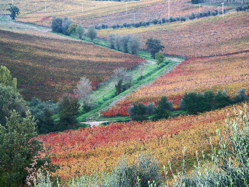 tuscany-20