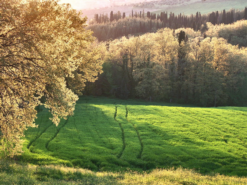 tuscany-64