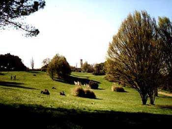 volterra-parco-01